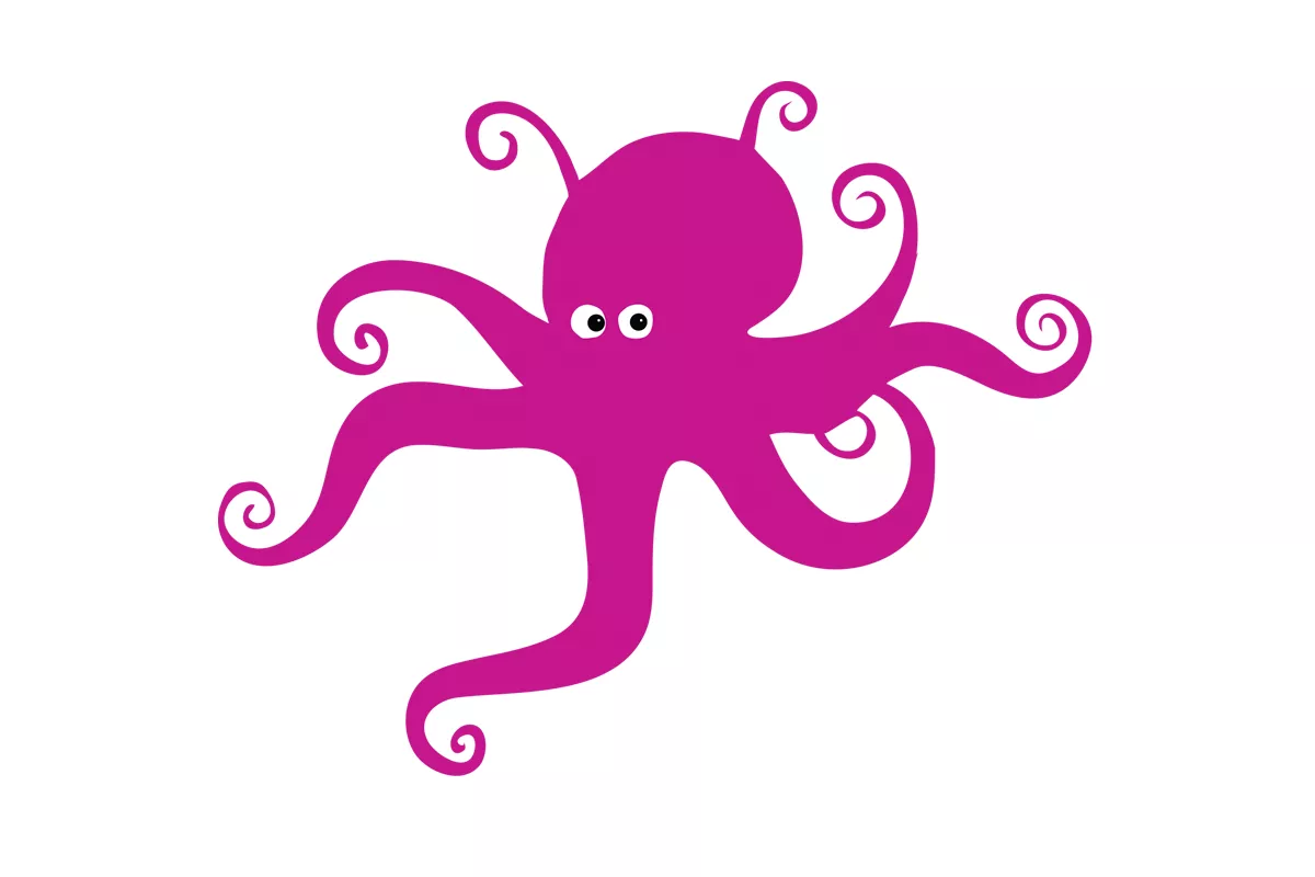 Octo